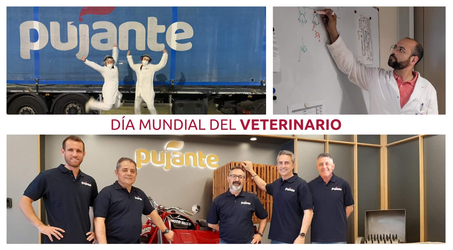 veterinarios y seguridad alimentaria
